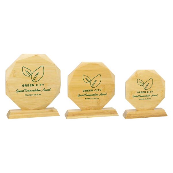 Aspire Bamboo Award Trophy - Image 2