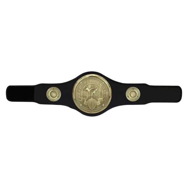 Champion Belt Kickboxing Trophy