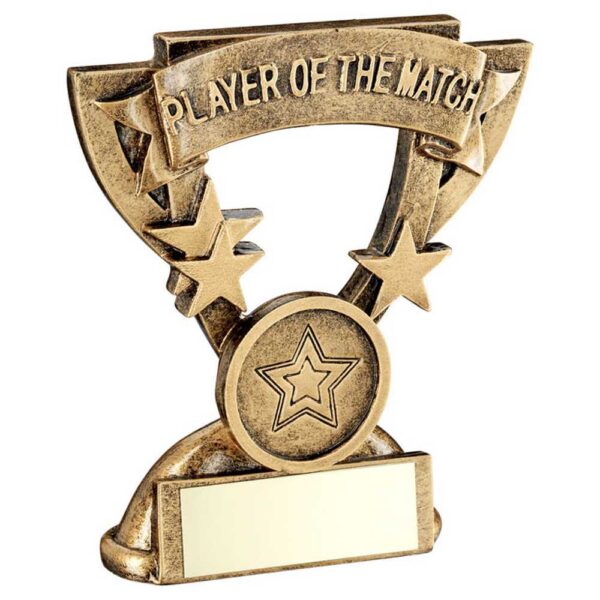 Striker Player of the Match Trophy