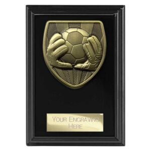 Cobra Plaque Football Goalkeeper Award Black