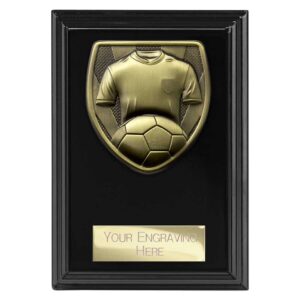 Cobra Plaque Football Shirt and Ball Award Black