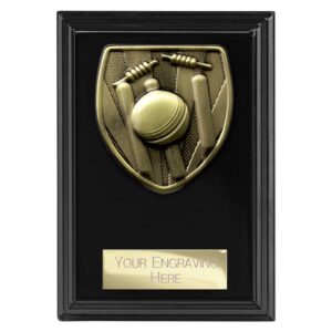 Cobra Cricket Award Black