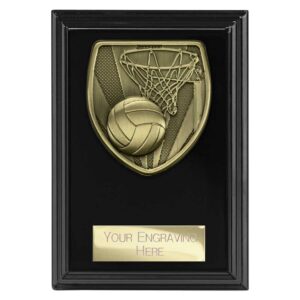 Cobra Netball Award Black