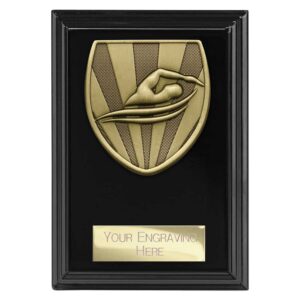 Cobra Swimming Award Black