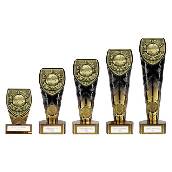 Cobra Plaque Player of the Year Trophy - Image 2