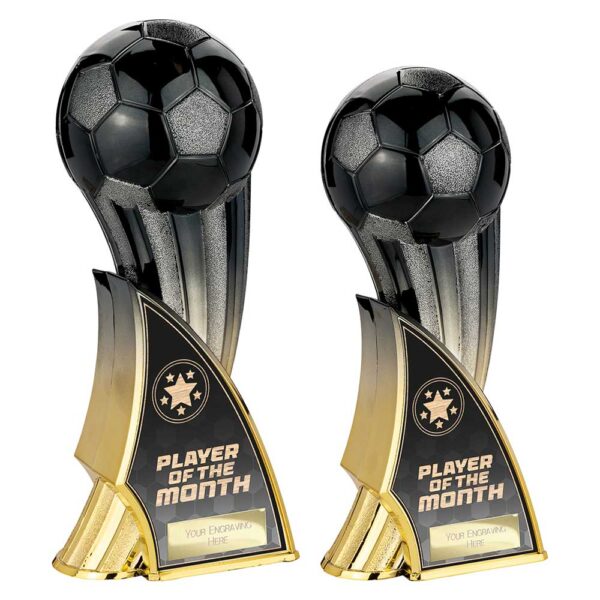 Firestorm Trainer of Week Trophy Gold and Black - Image 2