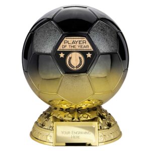 Elite Football Football Player of the Year Trophy Gold and Black