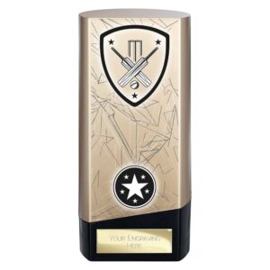 Prime Cricket Trophy Gold and Black