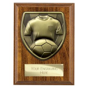 Cobra Football Shirt and Ball Award Walnut