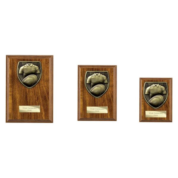 Cobra Plaque Rugby Shirt and Ball Award Walnut - Image 2