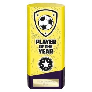 Prime Player of the Year Trophy Yellow and Purple