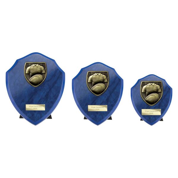 Cobra Shield Rugby Shirt and Ball Award Blue - Image 2