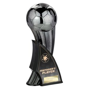 Firestorm Managers Player Trophy