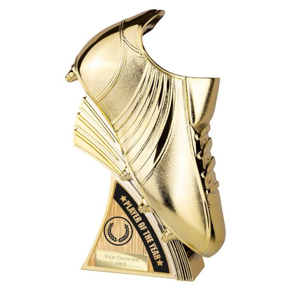 Golden Power Boot Player of the Year Trophy