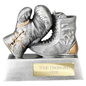 Power Boxing Trophy