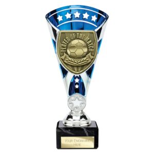 Cobra Star Player of Match Trophy Cup Silver and Blue