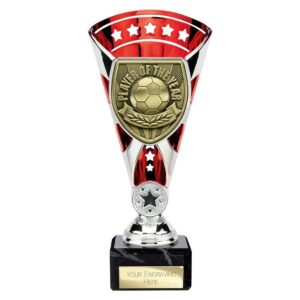 Cobra Star Player of the Year Trophy Cup Silver and Red