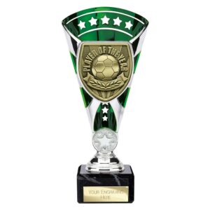 Cobra Star Player of the Year Trophy Cup Silver and Green