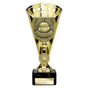 Cobra Star Player of the Year Trophy Cup Gold
