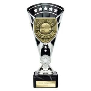 Cobra Star Player of the Year Trophy Cup Silver and Black