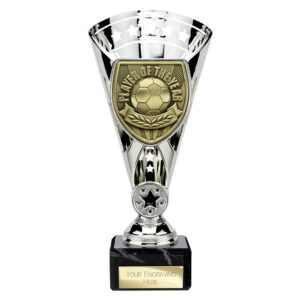 Cobra Star Trophy Cup Player of the Year Silver Trophy
