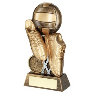 Pulse Netball Trophy