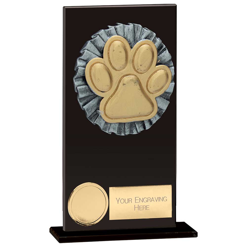Euphoria Hero Dog Agility Glass Award 1 Euphoria Hero Dog Agility Glass Award