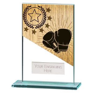 Mustang Boxing Jade Glass Award