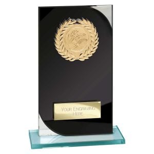 Seismic Multi Award Glass Black and Silver