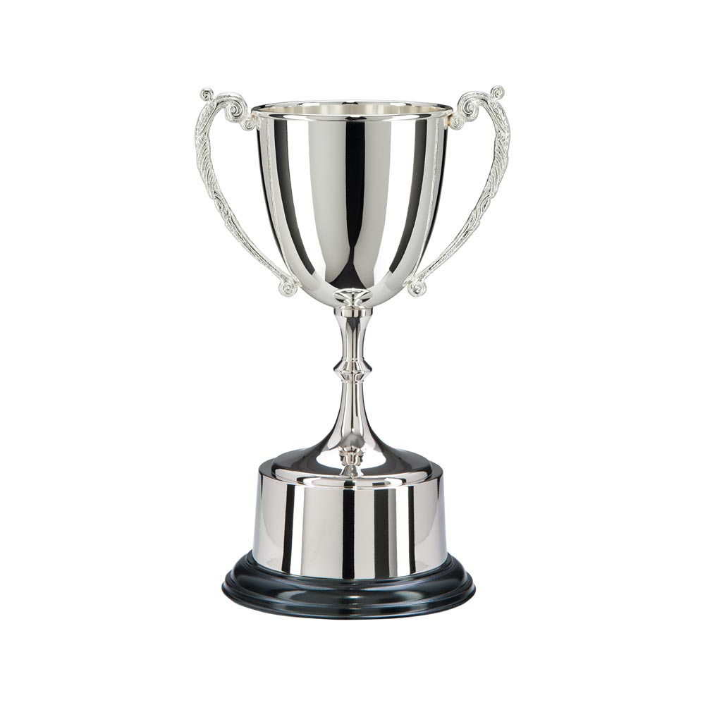 The Highgrove Nickel Plated Trophy Cup 3 The Highgrove Nickel Plated Trophy Cup - Image 3