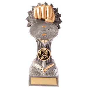 Falcon Martial Arts Trophy