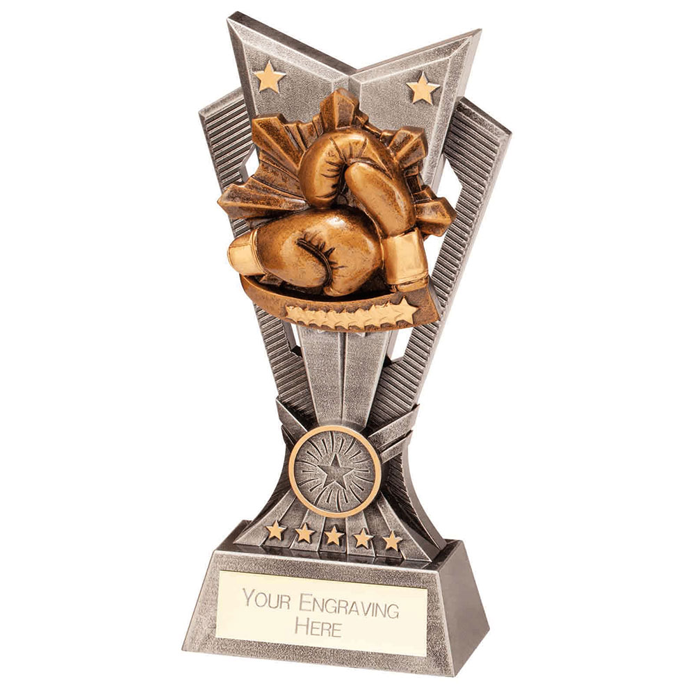 Spectre Boxing Trophy 2 Spectre Boxing Trophy - Image 2