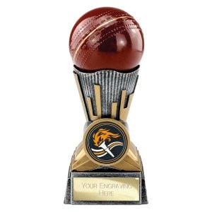 Digital Cricket Trophy