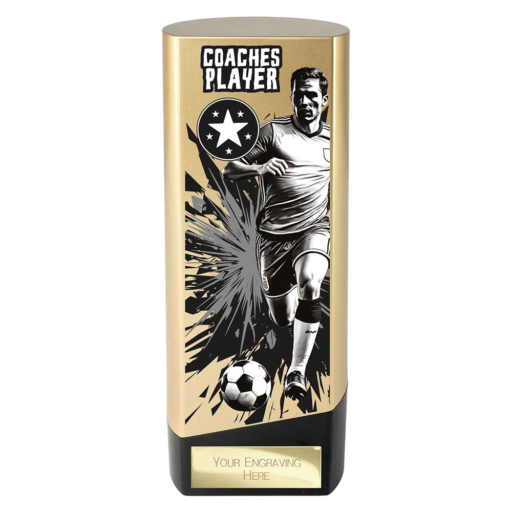 Prime Coaches Player Trophy Gold and Black 3 Prime Coaches Player Trophy Gold and Black - Image 3