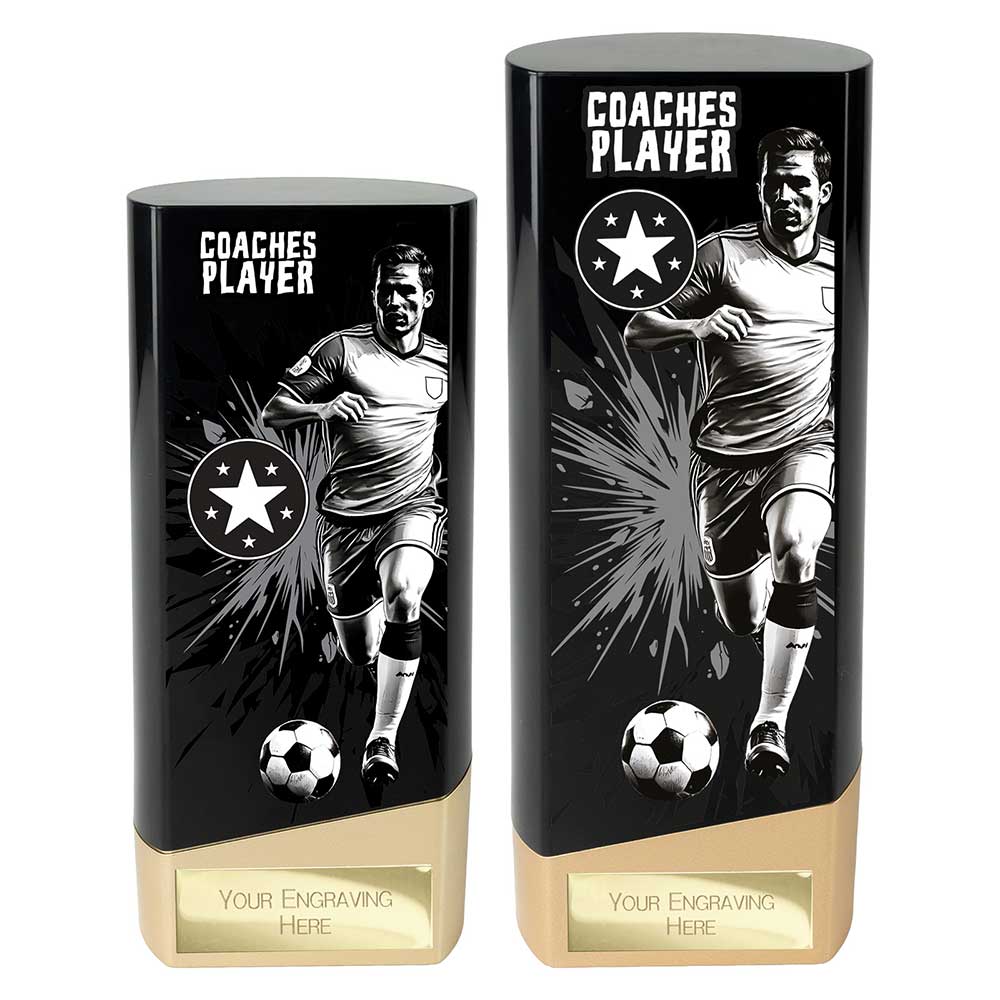 Prime Coaches Player Trophy Black and Gold 2 Prime Coaches Player Trophy Black and Gold - Image 2