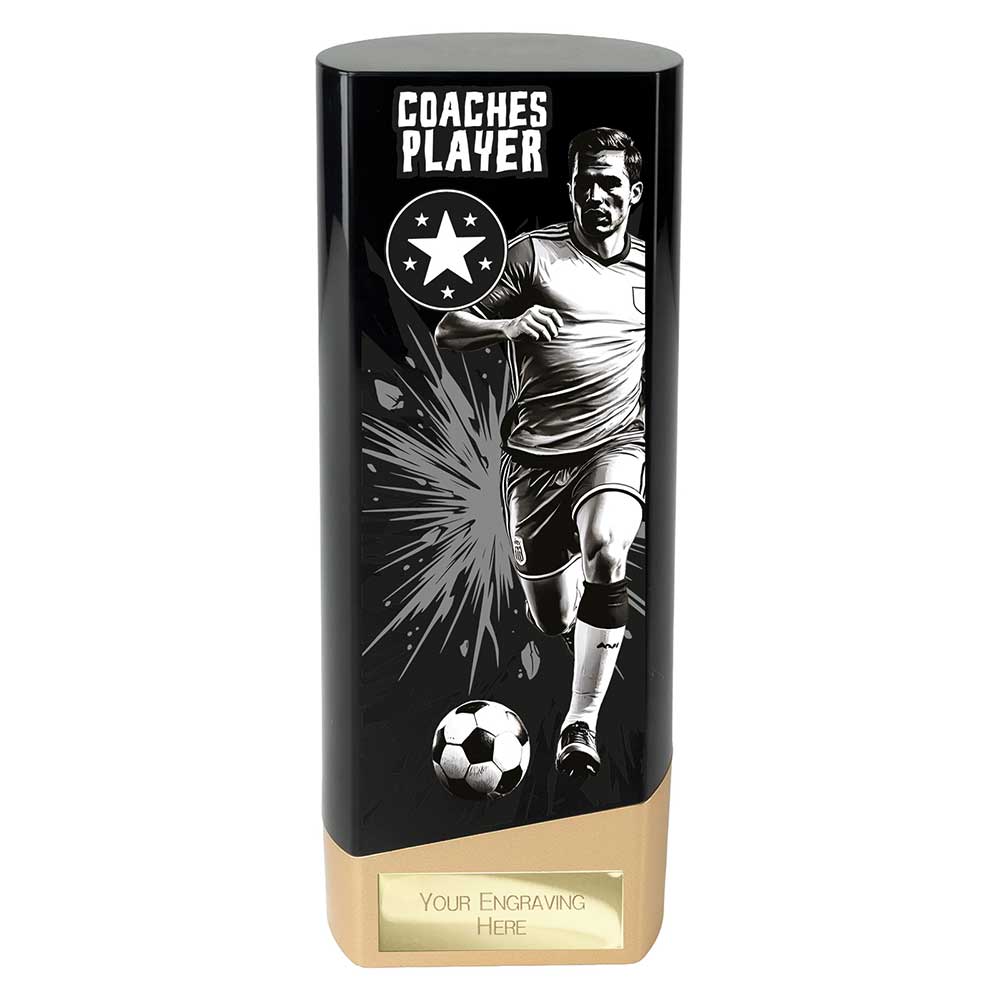 Prime Coaches Player Trophy Black and Gold 3 Prime Coaches Player Trophy Black and Gold - Image 3