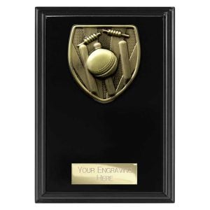 Cobra Plaque Cricket Black