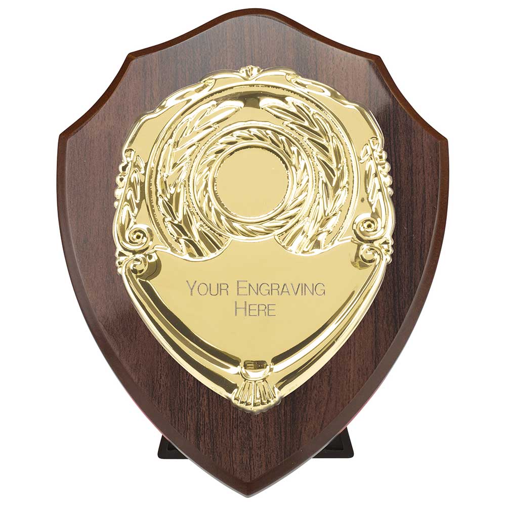 Reward Shield and Front 5 Reward Shield and Front - Image 5