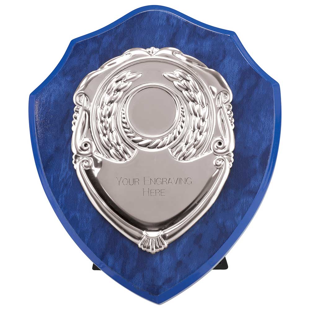 Reward Shield and Front 4 Reward Shield and Front - Image 4