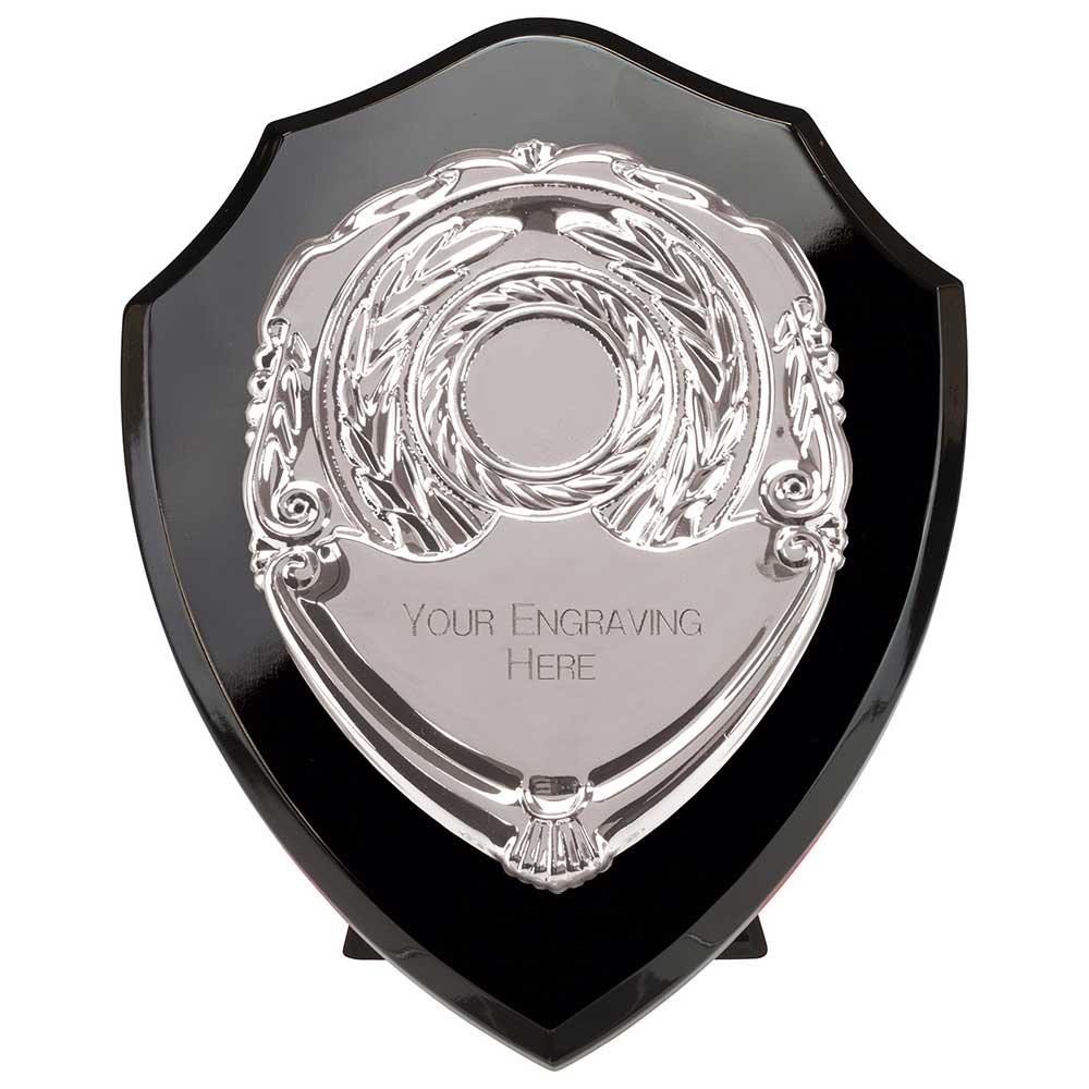 Reward Shield and Front 5 Reward Shield and Front - Image 5