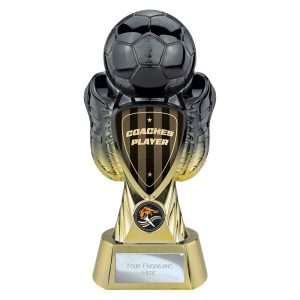 Tournament Coaches Player Trophy Black and Gold