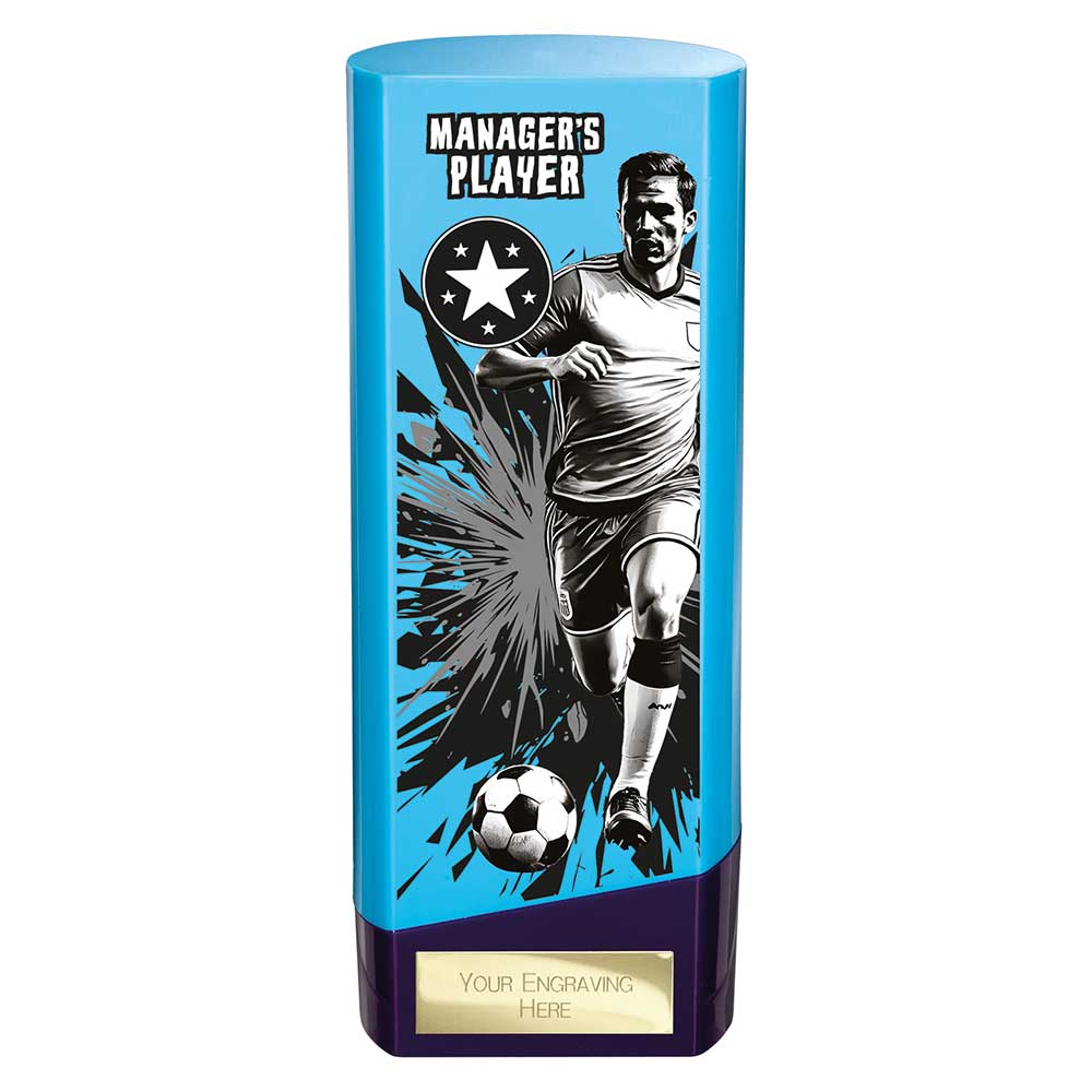 Prime Managers Player Trophy Blue and Purple 3 Prime Managers Player Trophy Blue and Purple - Image 3