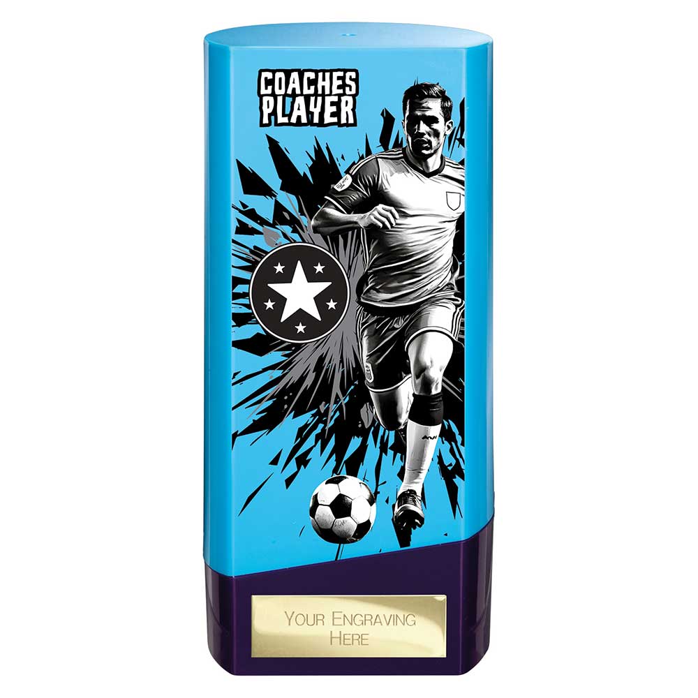 Prime Coaches Player Trophy Blue and Purple 1 Prime Coaches Player Trophy Blue and Purple