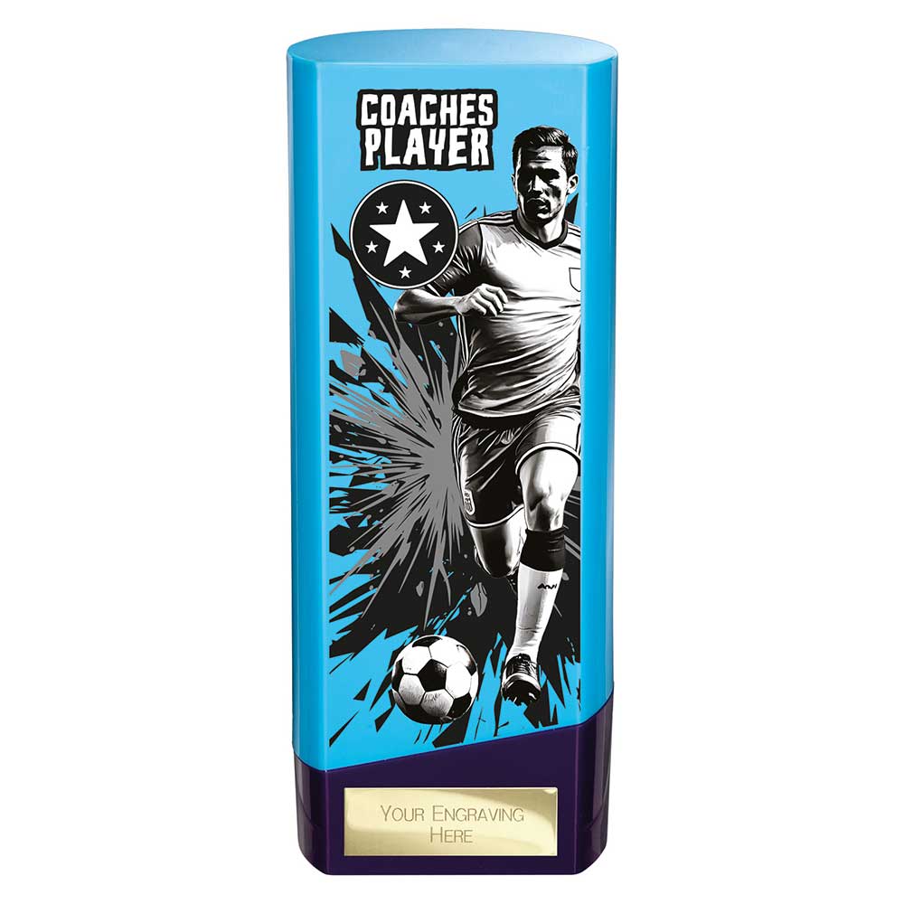 Prime Coaches Player Trophy Blue and Purple 3 Prime Coaches Player Trophy Blue and Purple - Image 3