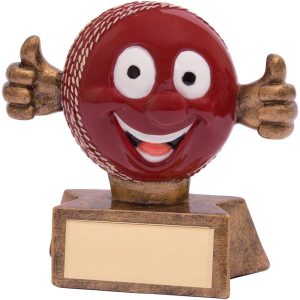 Smiler Cricket Trophy