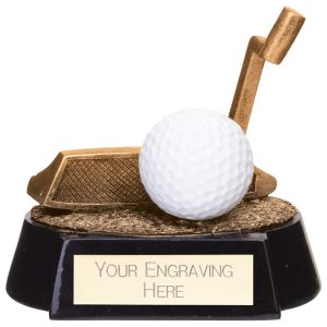 Fairway Golf Putter Trophy Gold