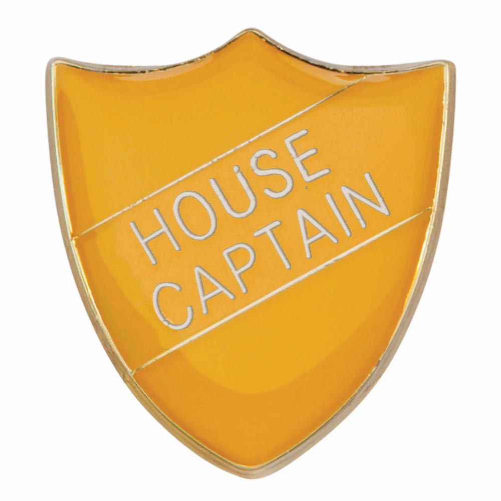 Scholar Pin Badge House Captain 5 Scholar Pin Badge House Captain - Image 5