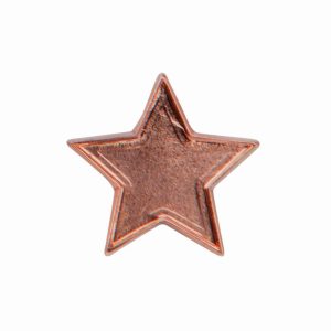Scholar Pin Badge Star