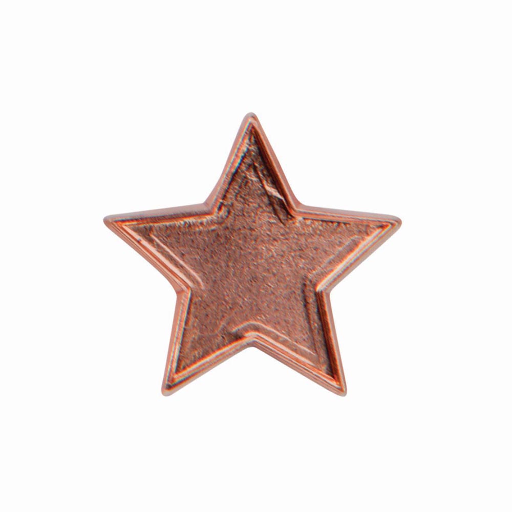 Scholar Pin Badge Star 1 Scholar Pin Badge Star