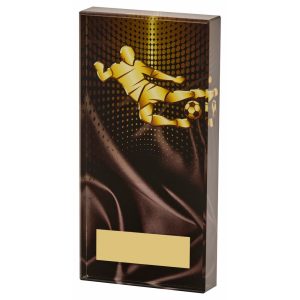 Golden Play Male Glass Football Award